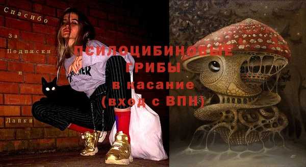 прущая мука Зеленодольск